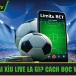 Kèo rung tài xỉu live